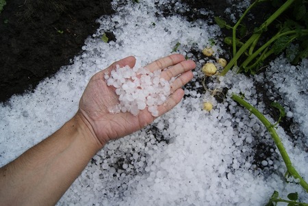 lorapalner-first-snow-1821255_1920 